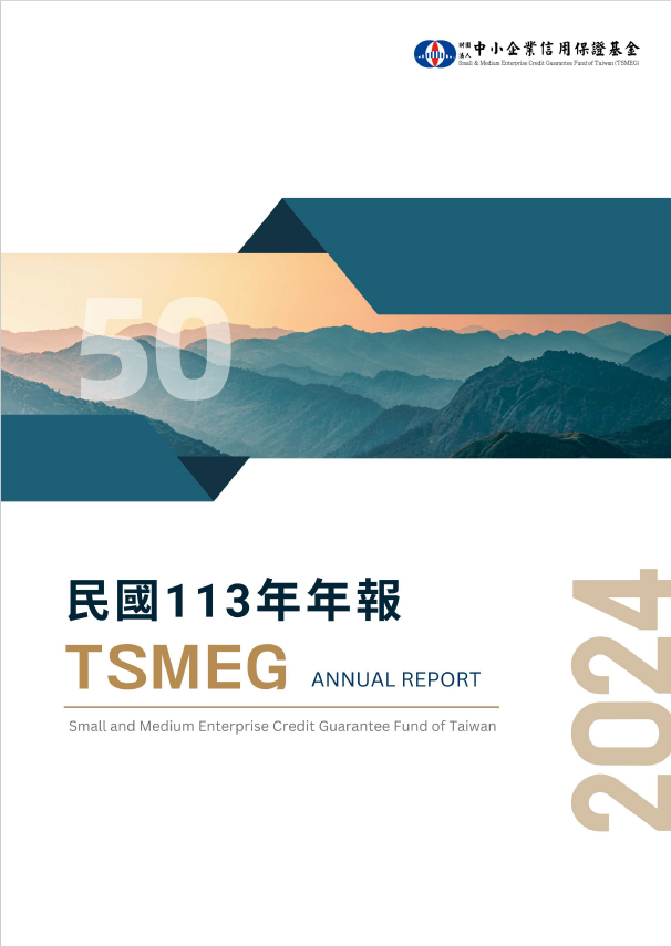 113年年報
