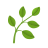草