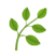 草